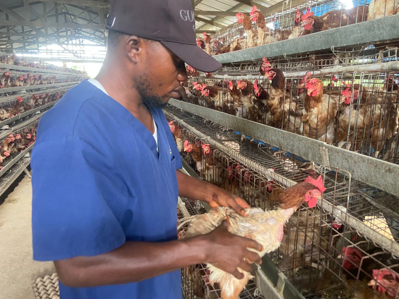 Ferme Ma Bannière